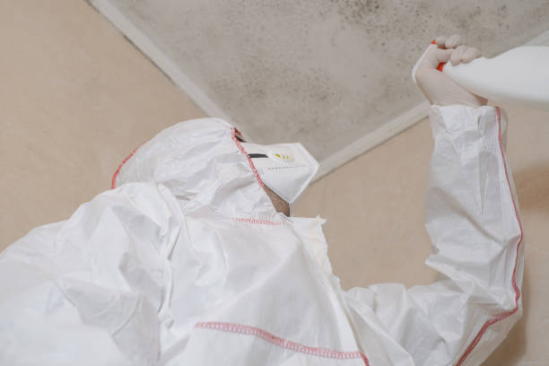 Best Mold Testing and Inspection Services in Dixon, CA