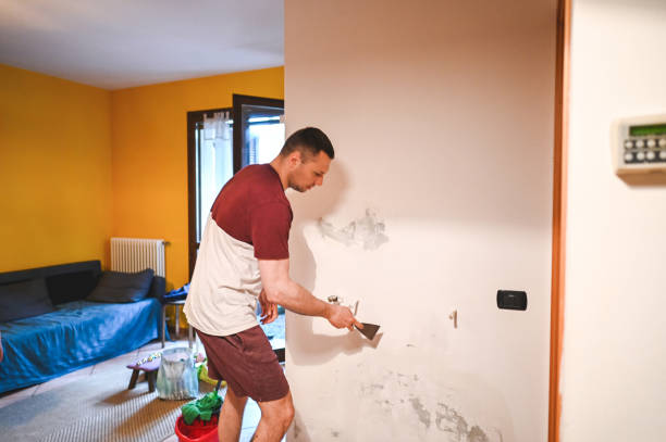 Best Health and Safety Mold Remediation in Dixon, CA
